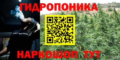 дмт Краснокаменск