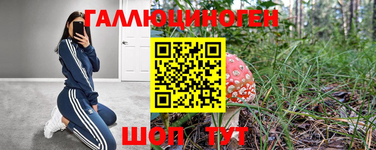 Псилоцибиновые грибы Magic Shrooms Бугуруслан