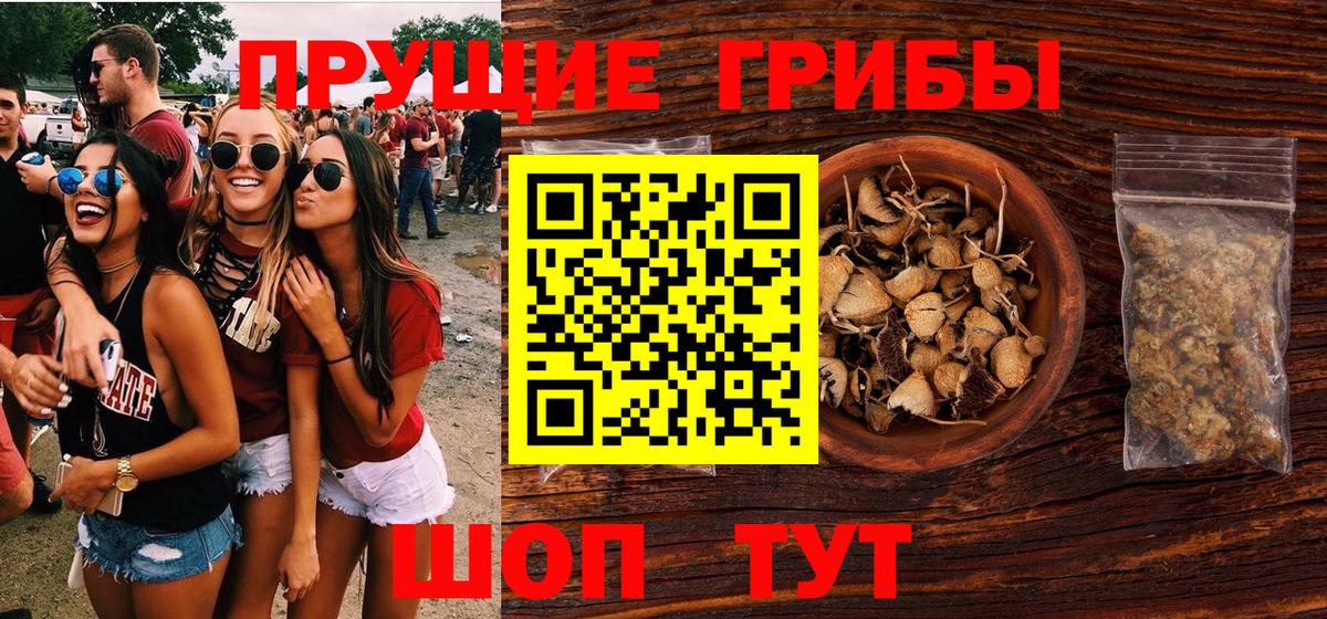 где купить наркотик  Вход с VPN  Бугуруслан  Галлюциногенные грибы GOLDEN TEACHER 